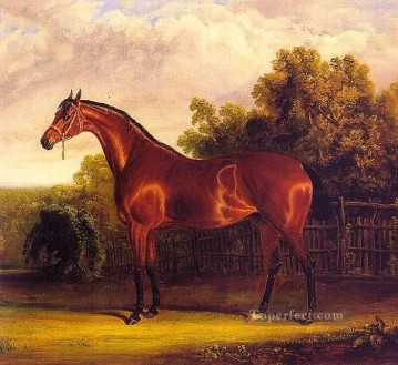 馬 Painting - amc0018D1 動物の馬